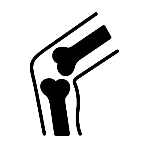 Knochen & Beweglichkeit